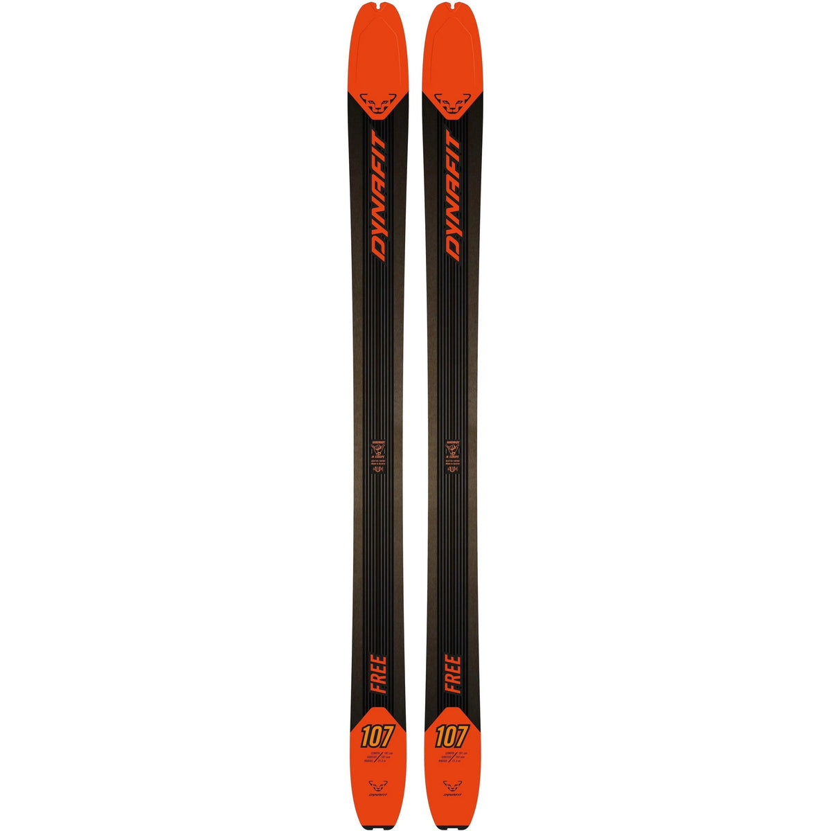 Dynafit Free 107 Alpine Touring Ski - product image 1