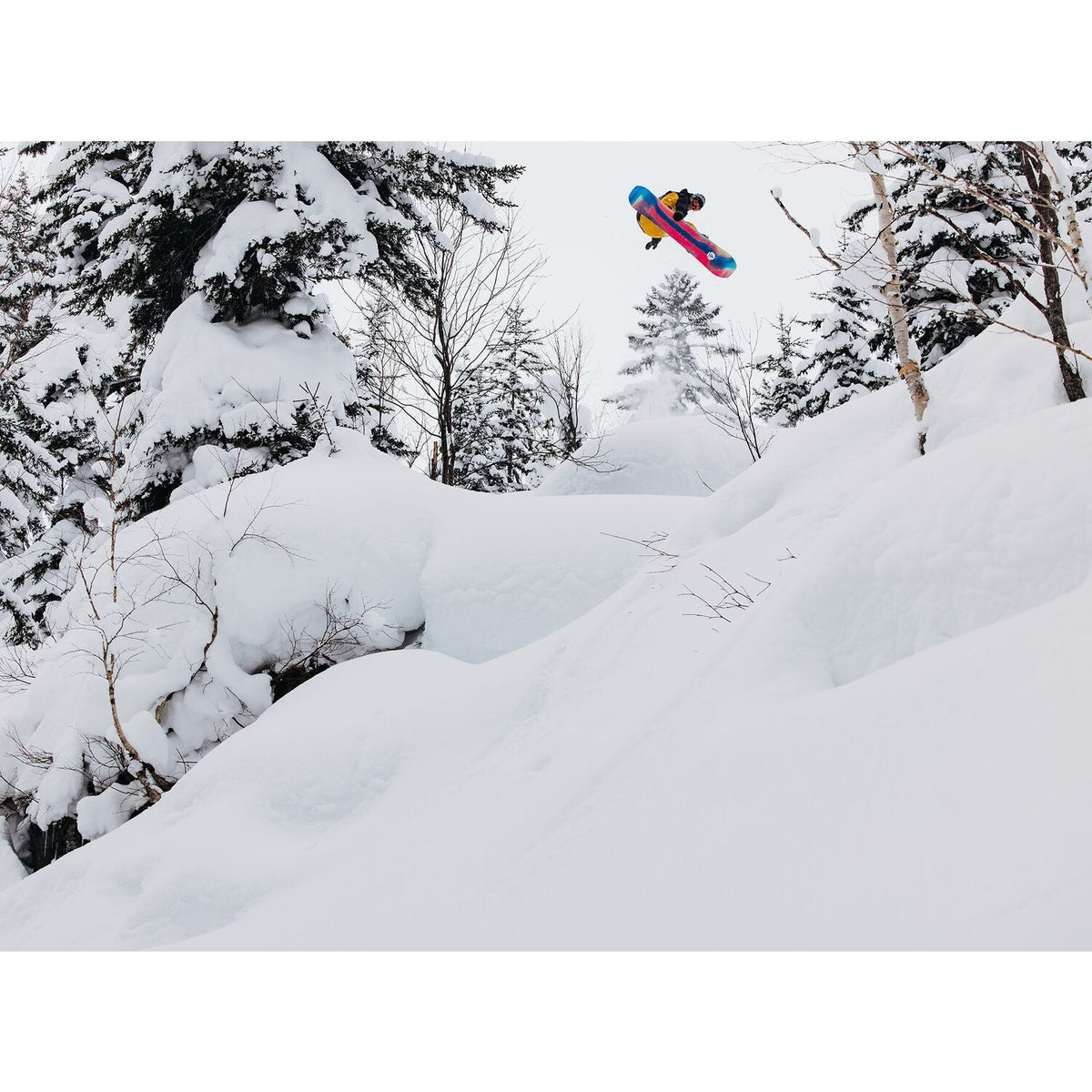 Burton Family Tree Hometown Hero Snowboard 2025 - Unisex - product image 6