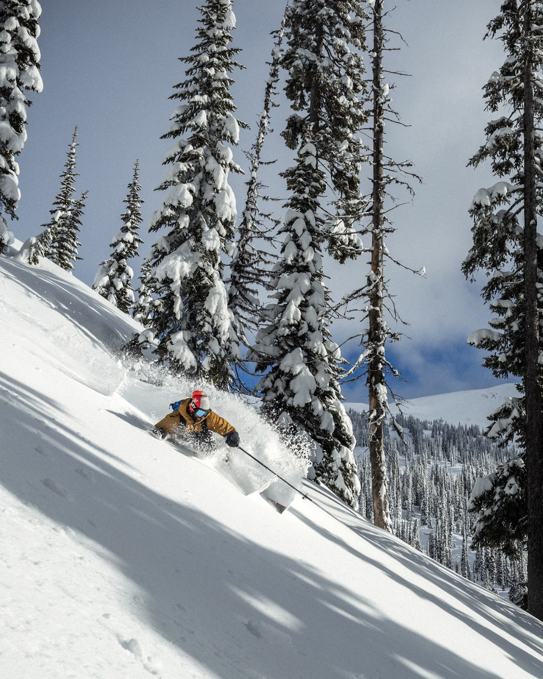 A skier finding a line through fresh snow and alpine trees
